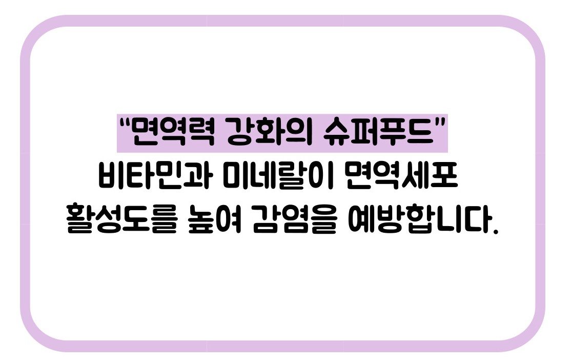 블루베리 효능