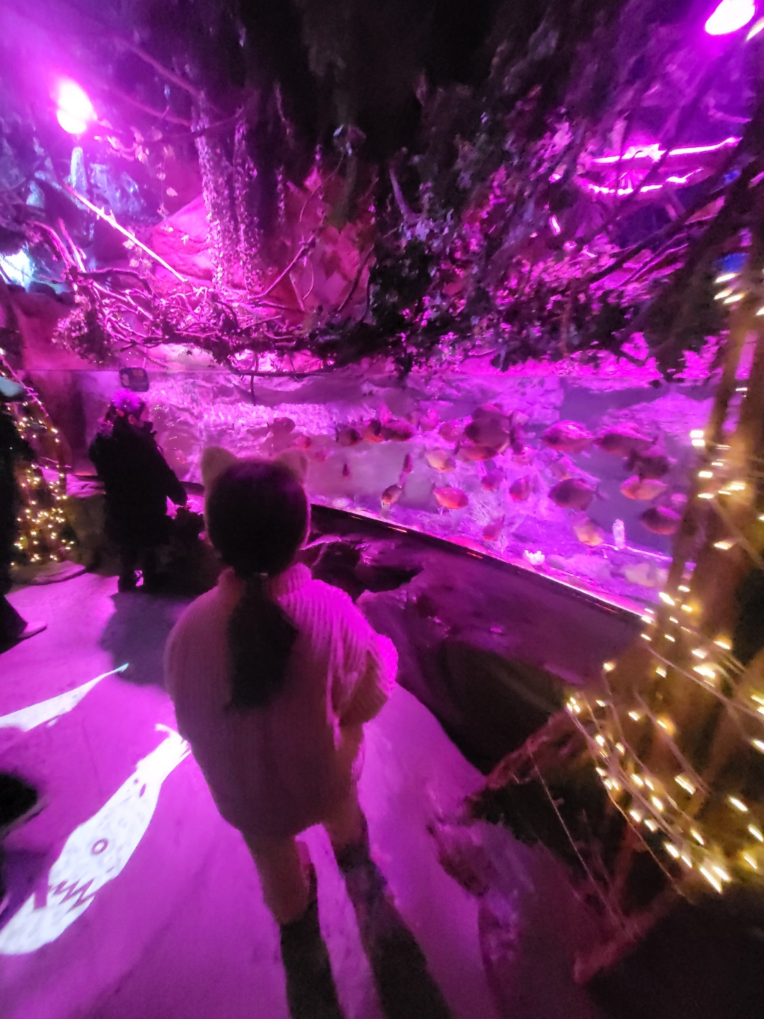 부산 아쿠아리움