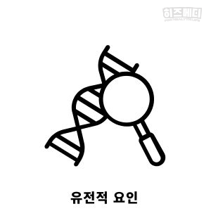 입덧 시기 증상 관리