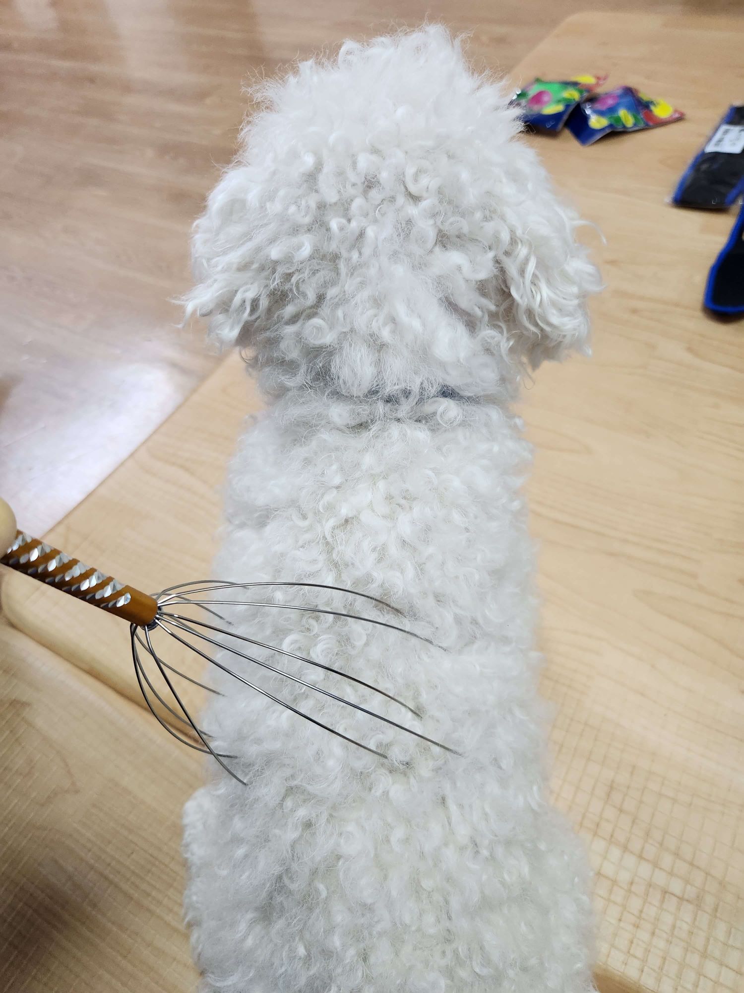 temu 테무 - 쇼핑&amp;#44; 장점 단점&amp;#44; 내돈내산 솔직 후기 