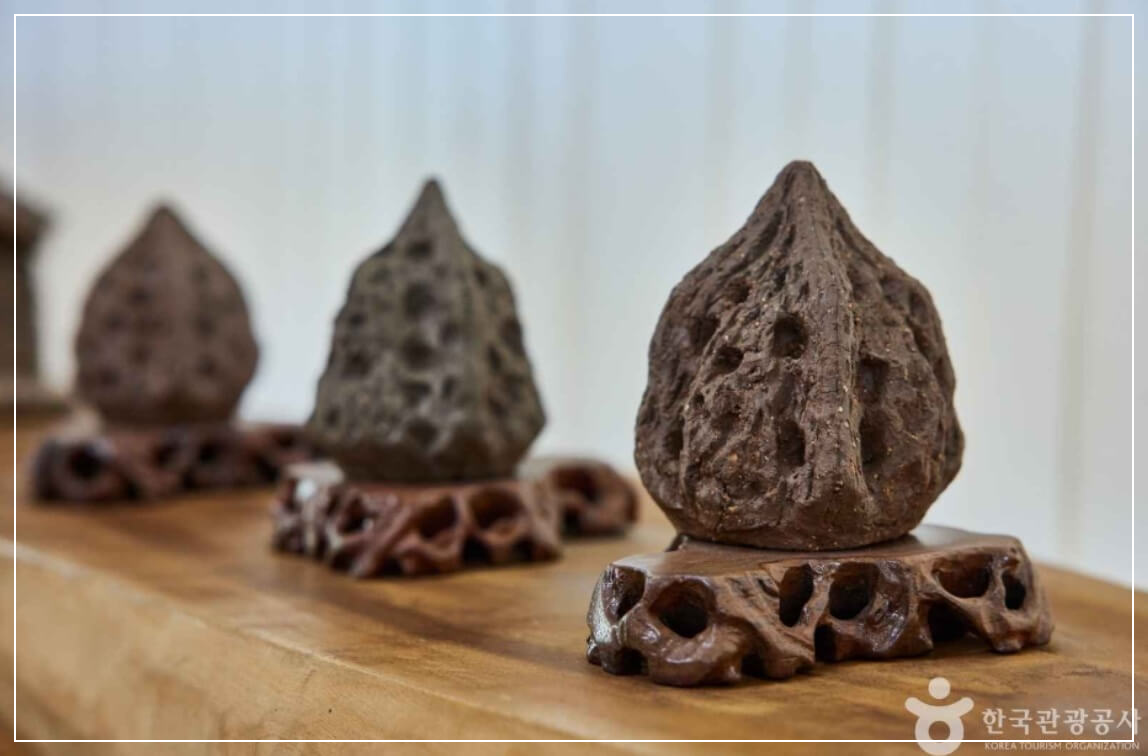 장흥 가볼만한곳 베스트10 귀족호도박물관