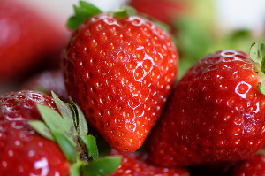 지방간에좋은음식사진