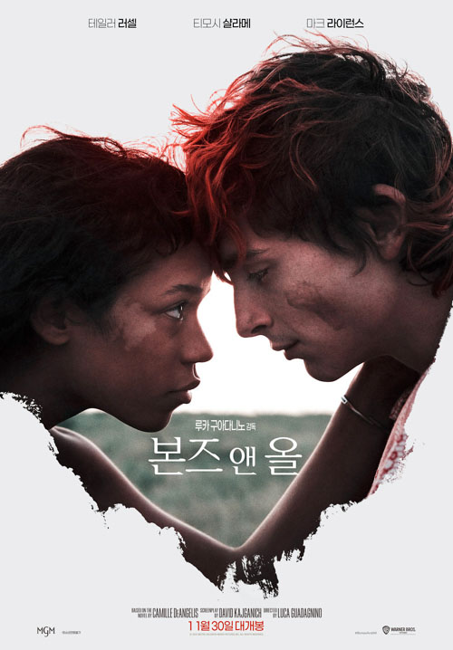 11월 개봉 영화
