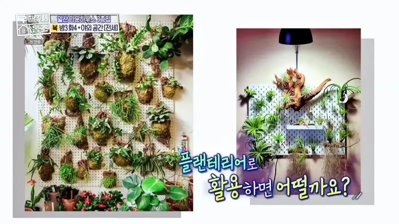 구해줘홈즈 고양시 일산서구 덕이동 최강 옆집 하우스 매물 가격 및 구조 인테리어 리모델링 소개