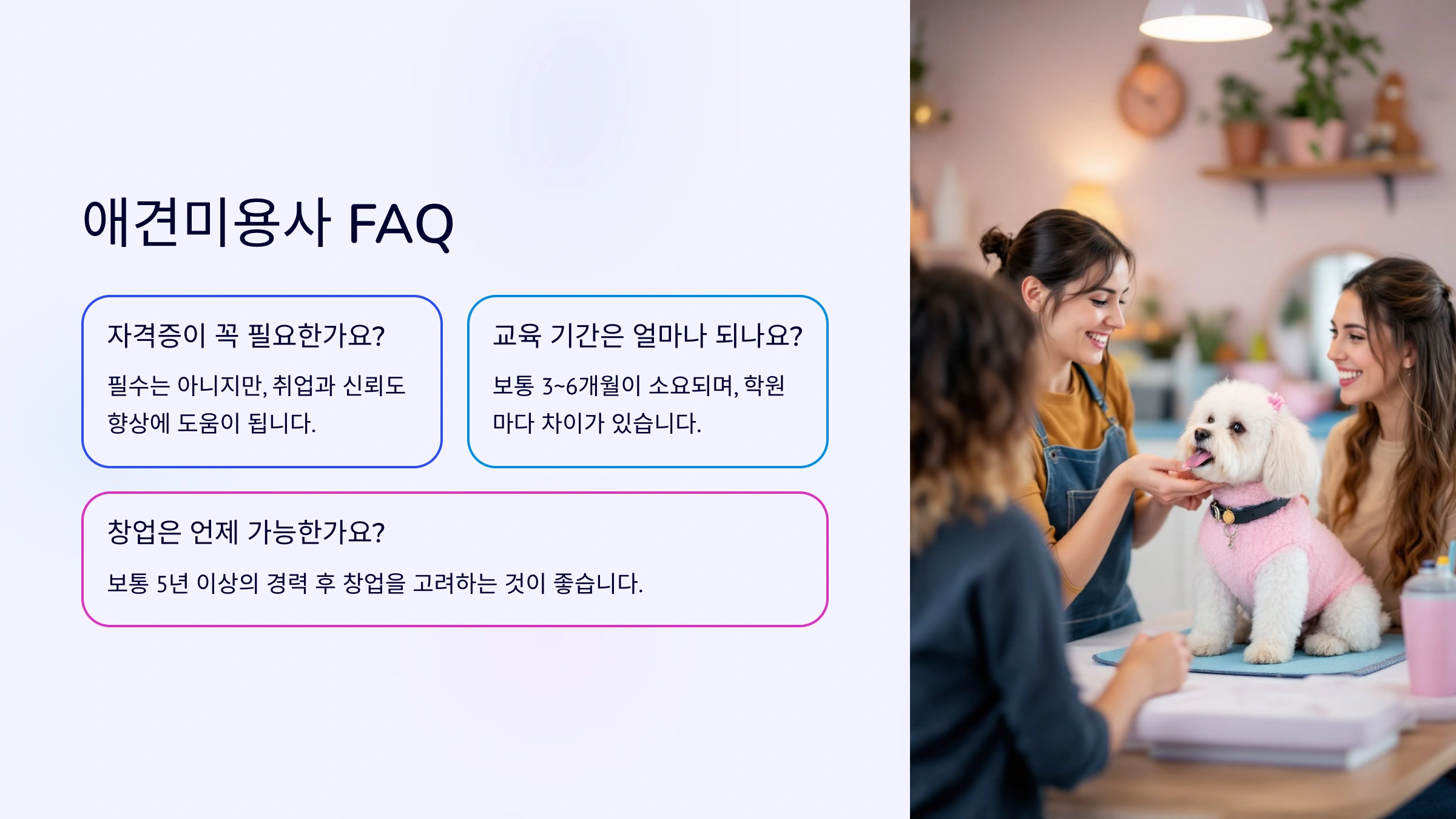 애견미용사가 되려면 과정 및 현실 분석