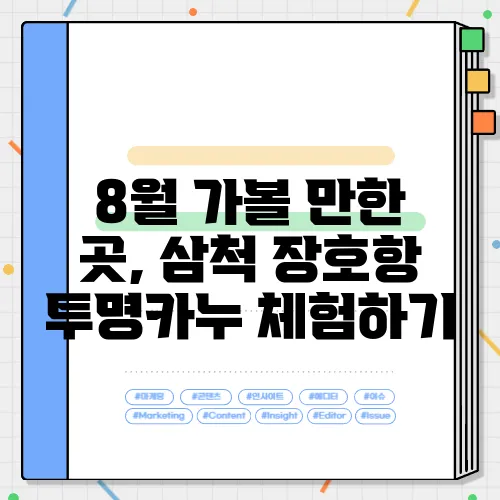8월 가볼 만한 곳, 삼척 장호항 투명카누 체험하기