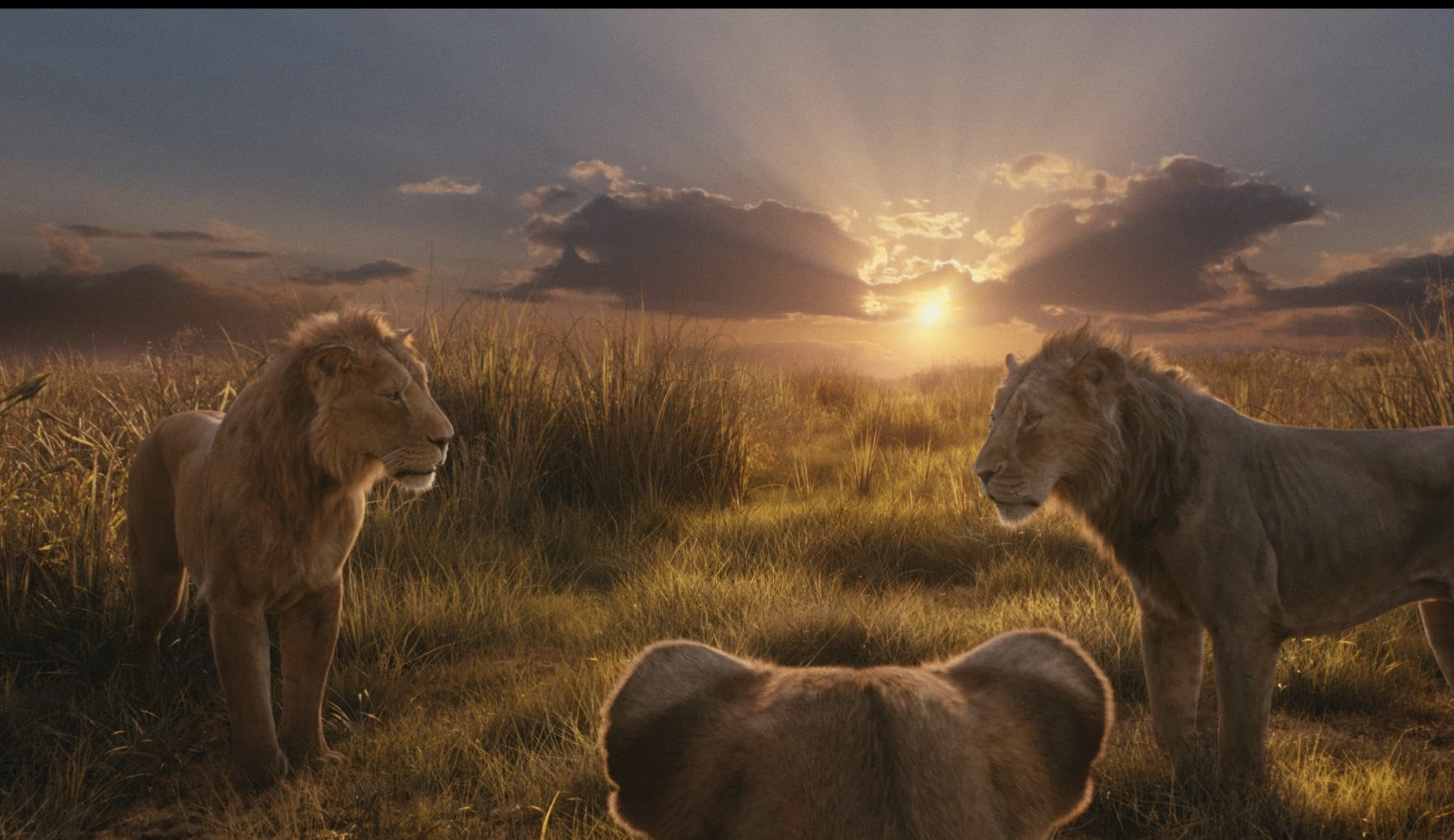 무파사: 라이온 킹 포토