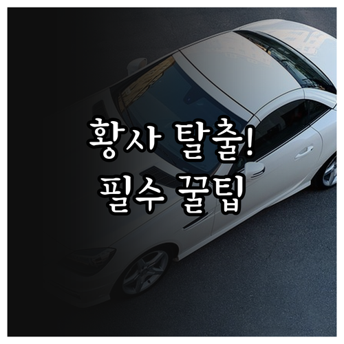 황사 대비 차량 내부 세차 순서 및 ..