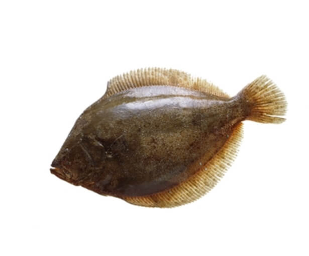 고단백 저지방 식품