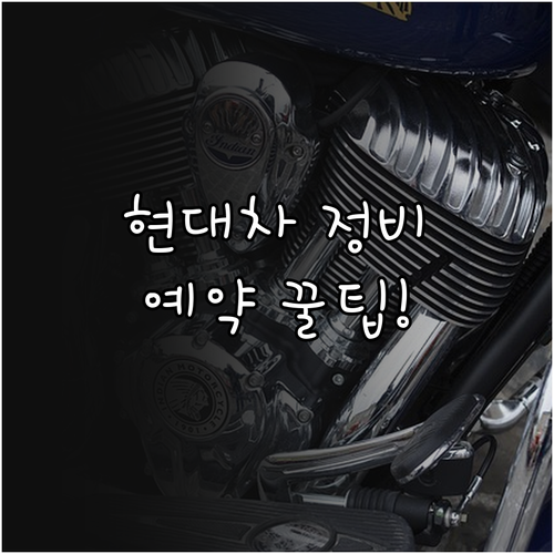 성주 현대차 정비 예약 마이현대 앱 ..