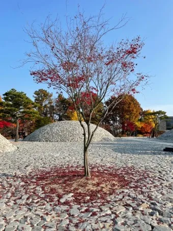 원주 가볼만한곳 베스트10 현지인 추천 필수코스_9