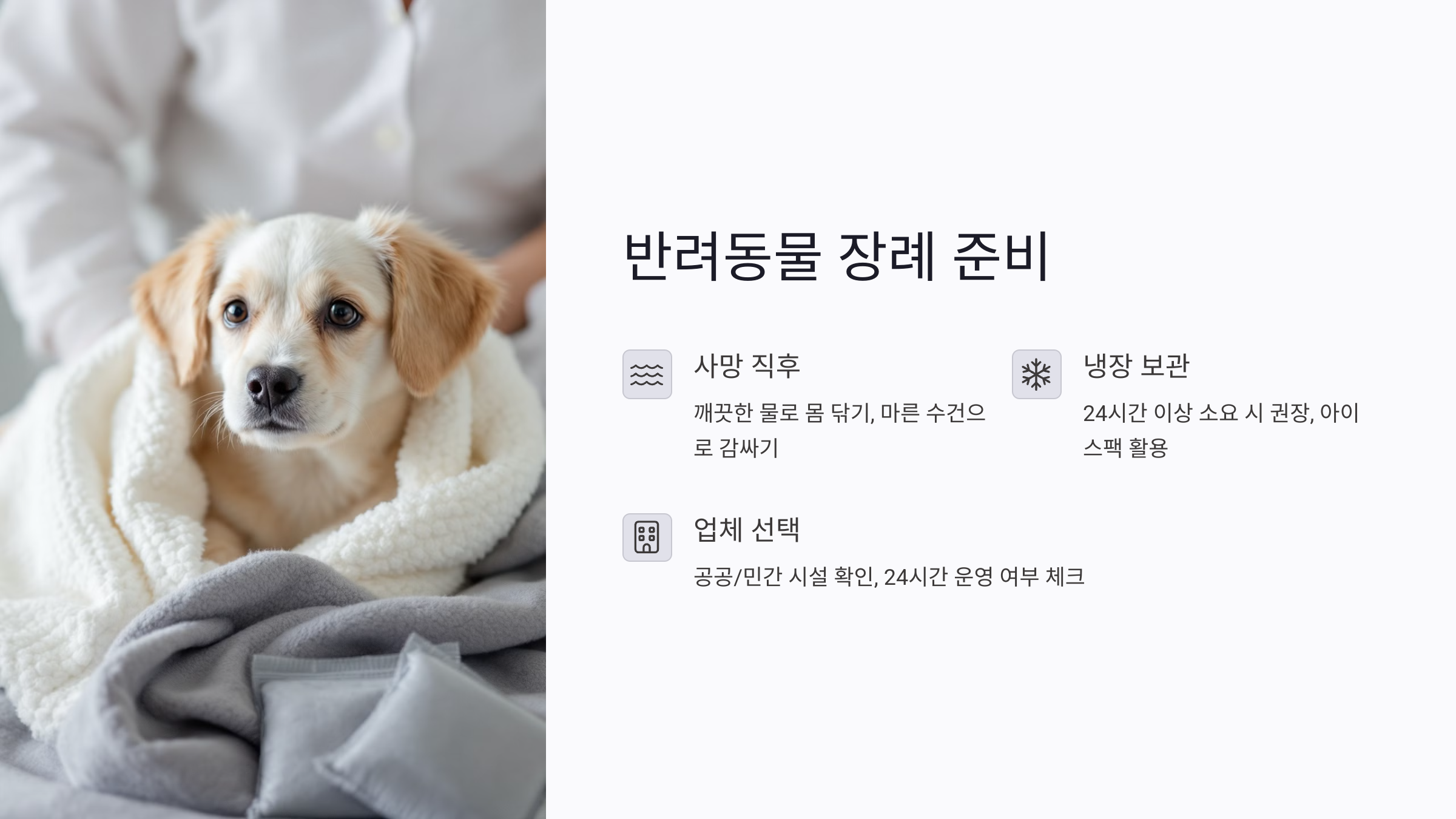 반려동물 장례 준비, 무엇부터 해야 하나요?