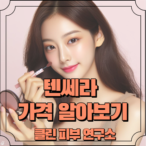 텐쎄라 가격 정보 알아보기