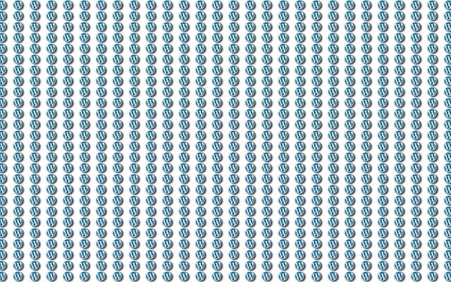 워드프레스 보안, 속도, 관리