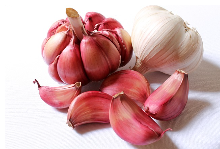 간 건강에 도움이 되는 음식 소개