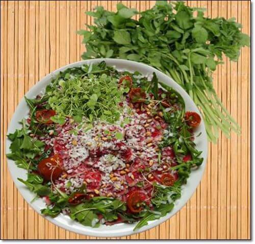 물냉이 샐러드 효능