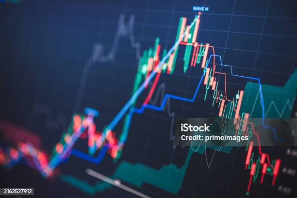 2024 증시에서 뜨는 바이오주