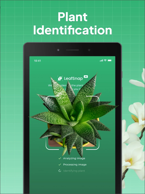 꽃 이름 찾기 어플, 사진으로 꽃, 나무, 과일, 식물을 식별하기, Leafsnap