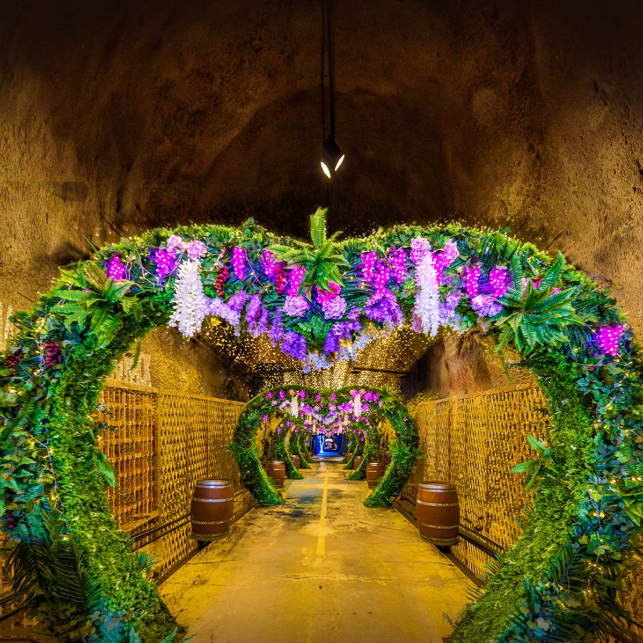 덕유산 &amp; 머루와인동굴