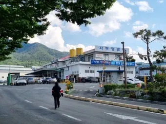 대구서부정류장 시간표 예매 조회 실시간 안내_19