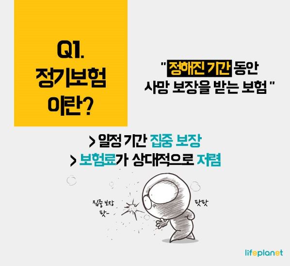정기보험이란 무엇인가를 설명하는 이미지