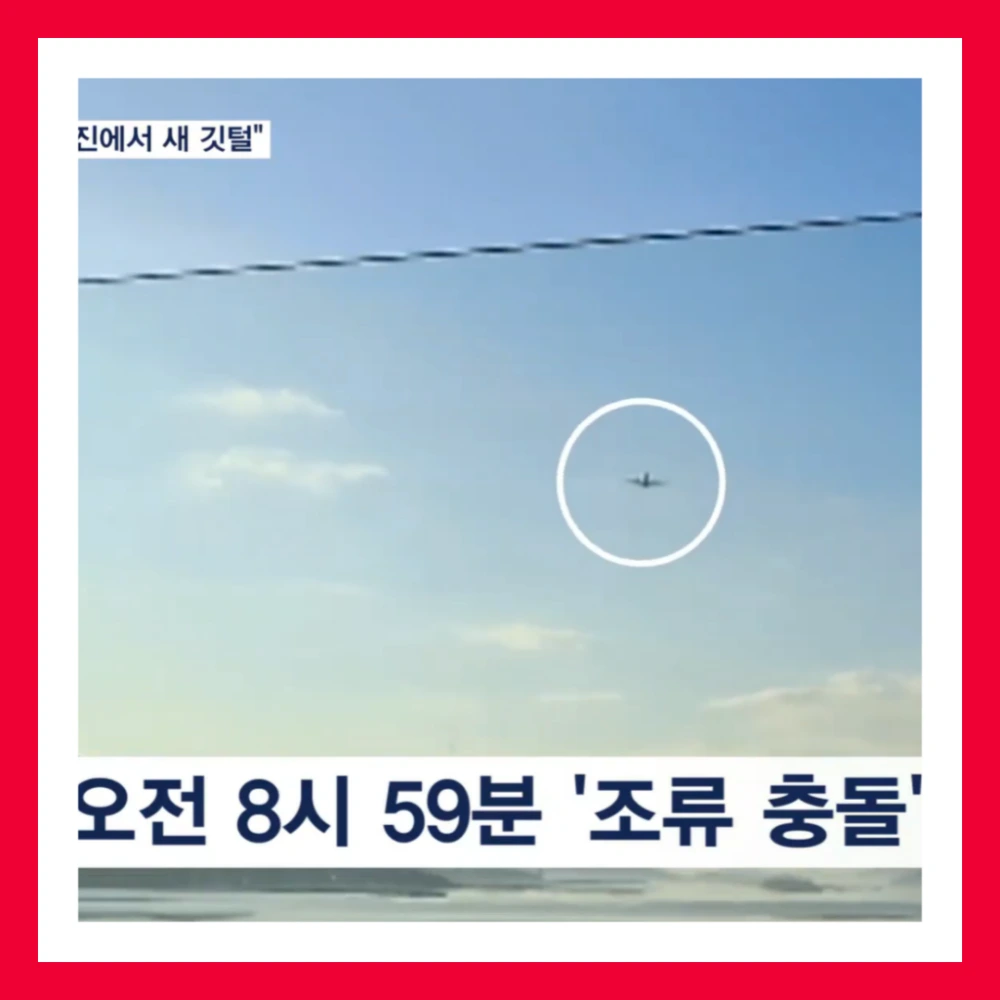 제주항공-엔진-깃털-조류충돌