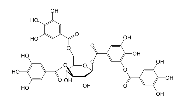 탄닌 화학 구조