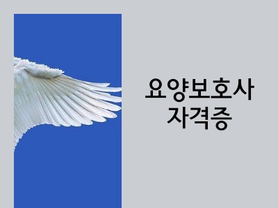 요양보호사
