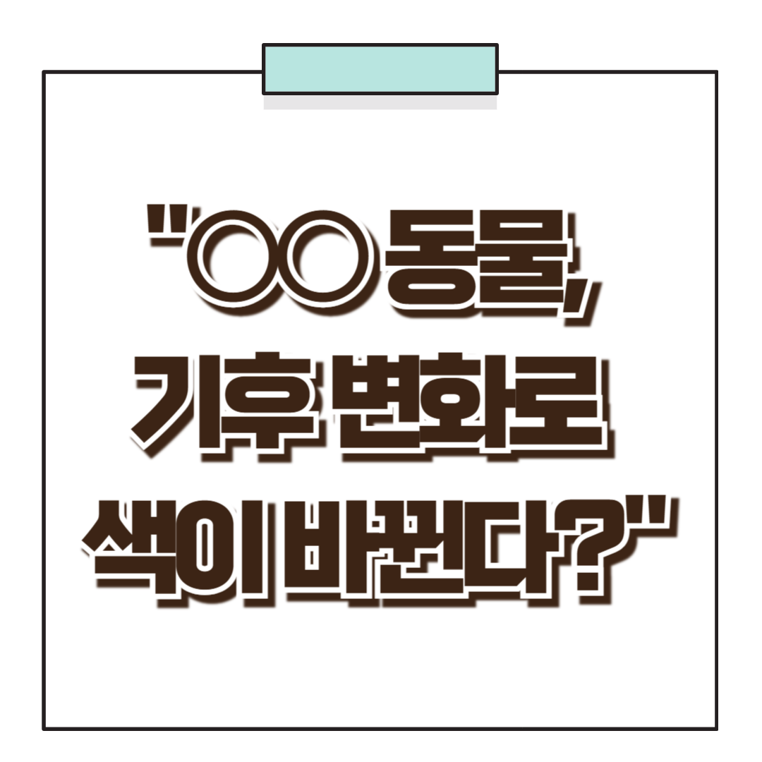&quot;○○ 동물, 기후 변화로 색이 바뀐다?&quot;