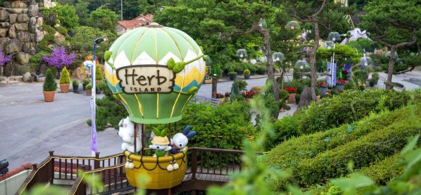 2025년 포천 허브아일랜드 라데봄 축제 완전 정복 가이드! 라데봄 축제 라벤더, 데이지 그리고 봄