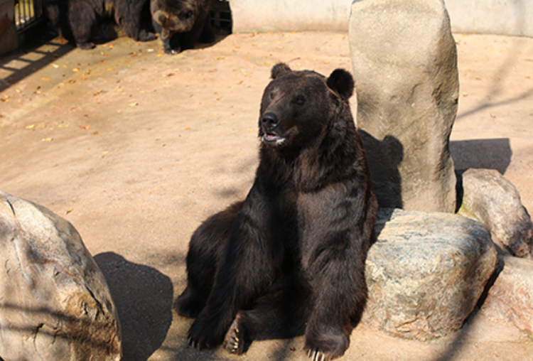 세종 베어트리파크 수목원