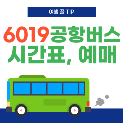공항버스6019-썸네일