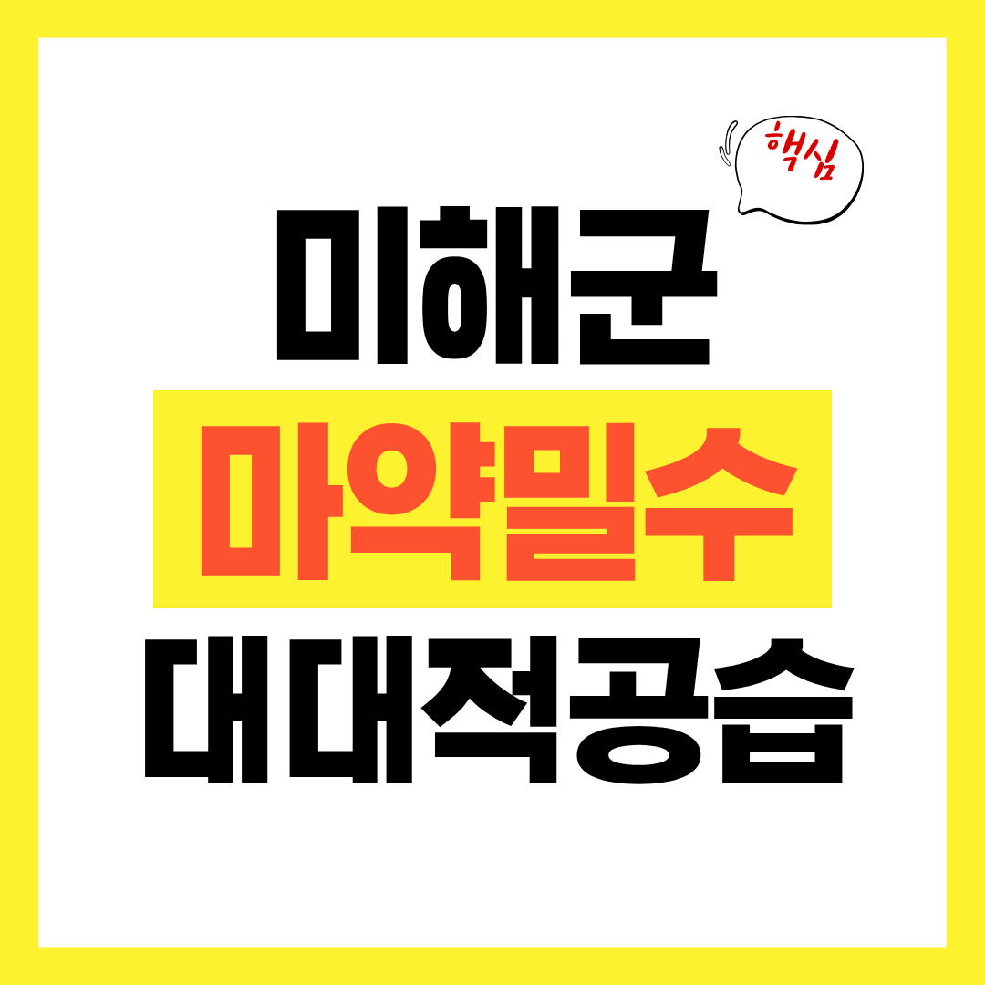 마약 밀수선 대대적 공습