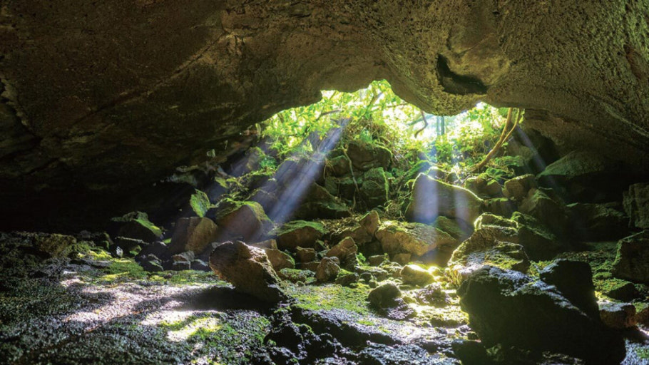 한라산 백록샘 관련 사진