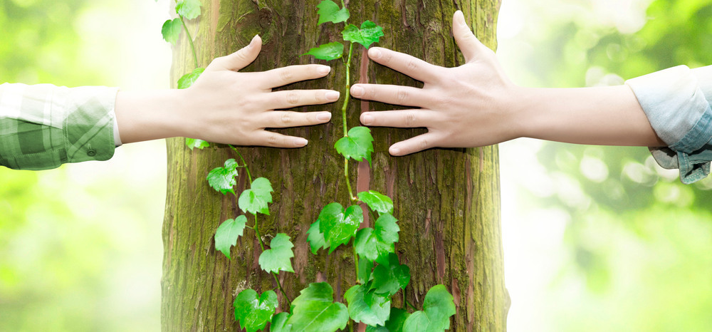 생장기와 휴면기의 호흡 변화