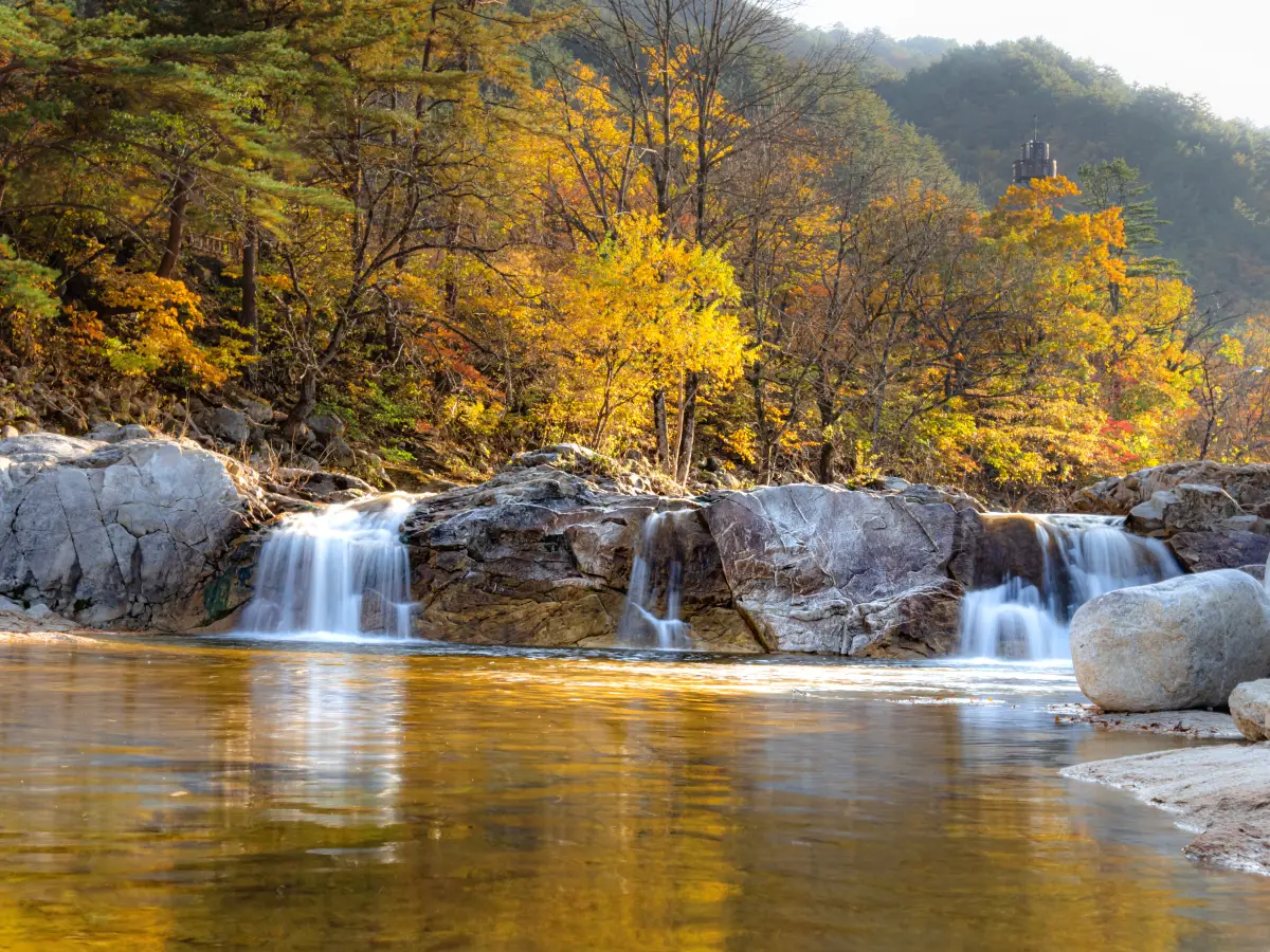 오대산 단풍