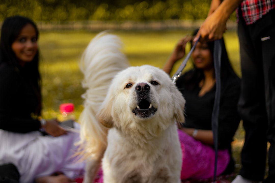 Barking