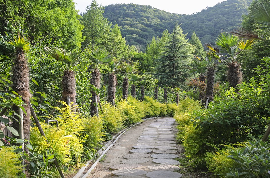 고성 그레이스 정원