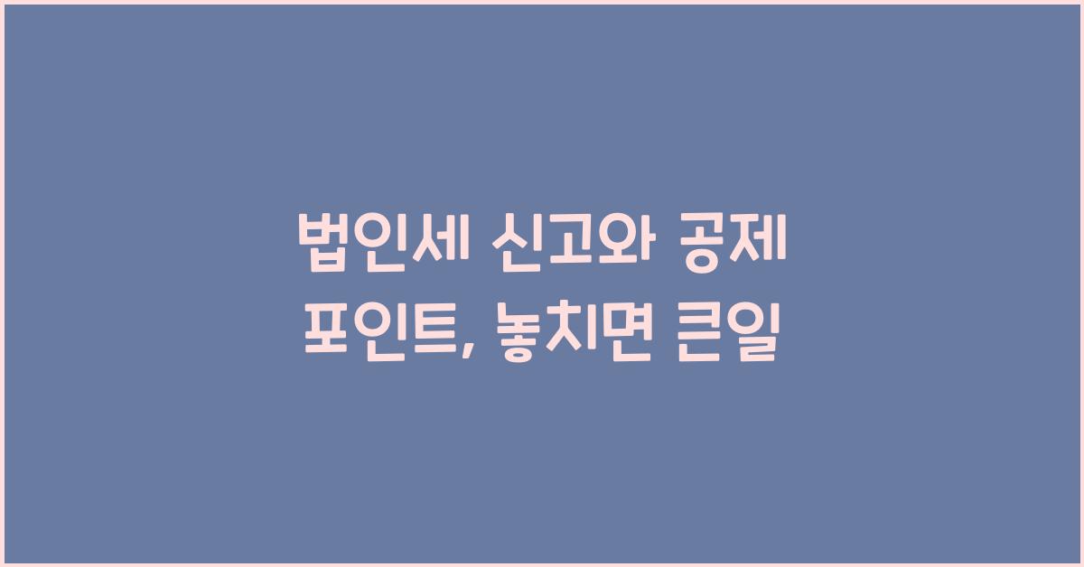 법인세 신고와 공제 포인트