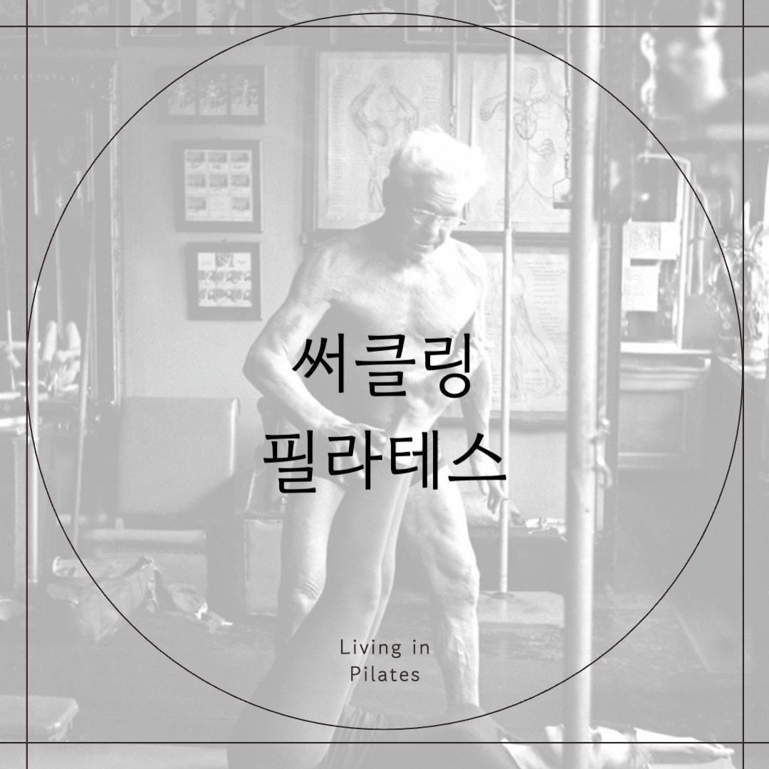 써클링 필라테스