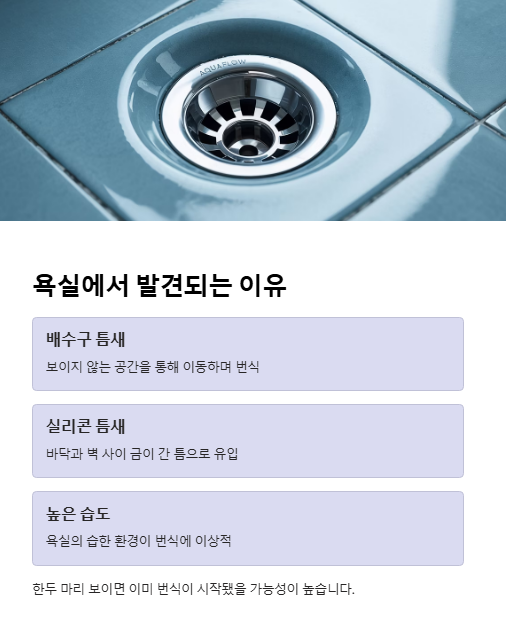 욕실에서 발견되는 이유
