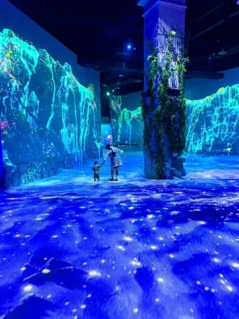 제주도 비올때 가볼만한곳 10곳 추천 실내 관광지로 모음_17