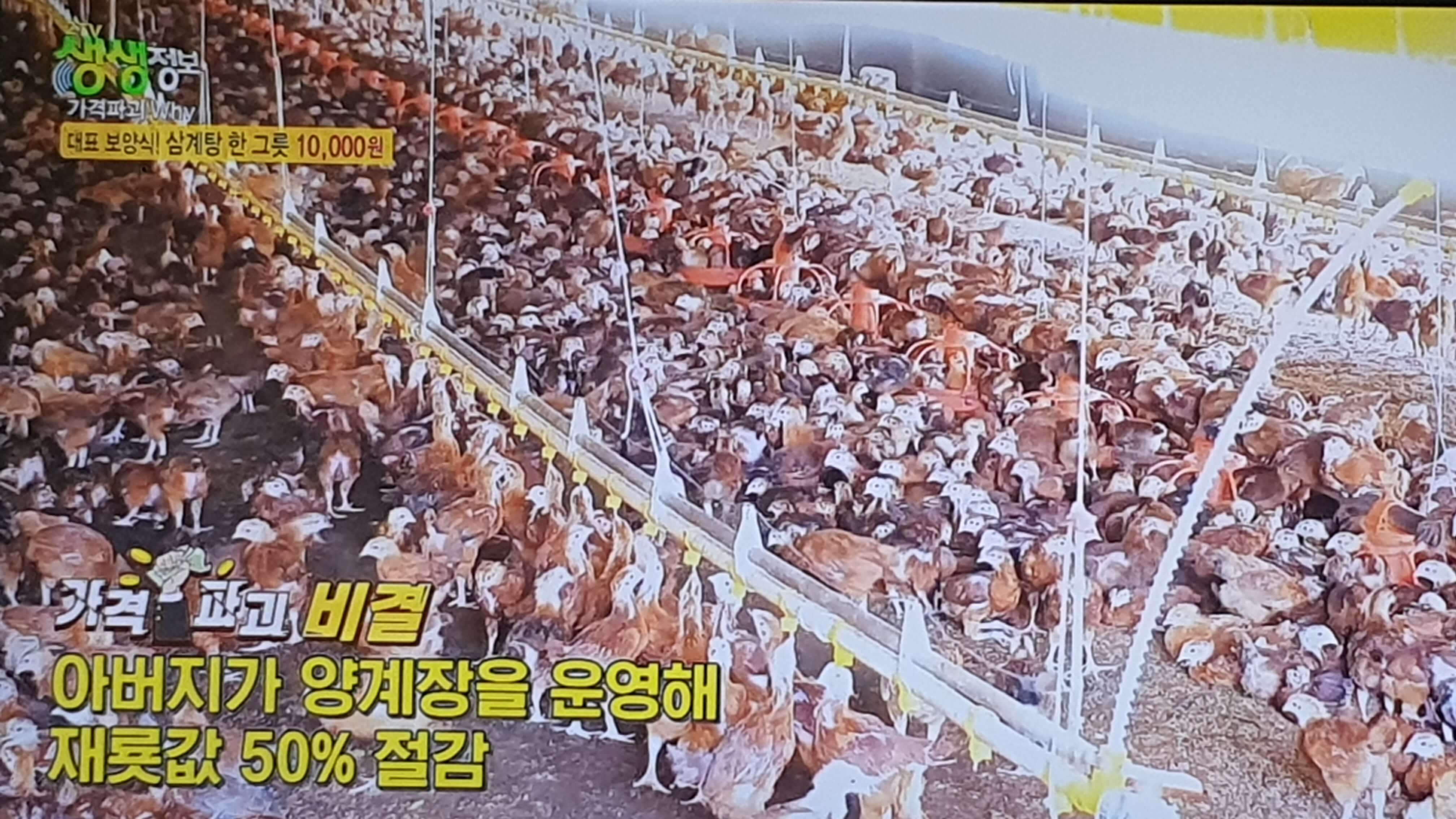 생생 정보통 맛집 가격파괴 비결