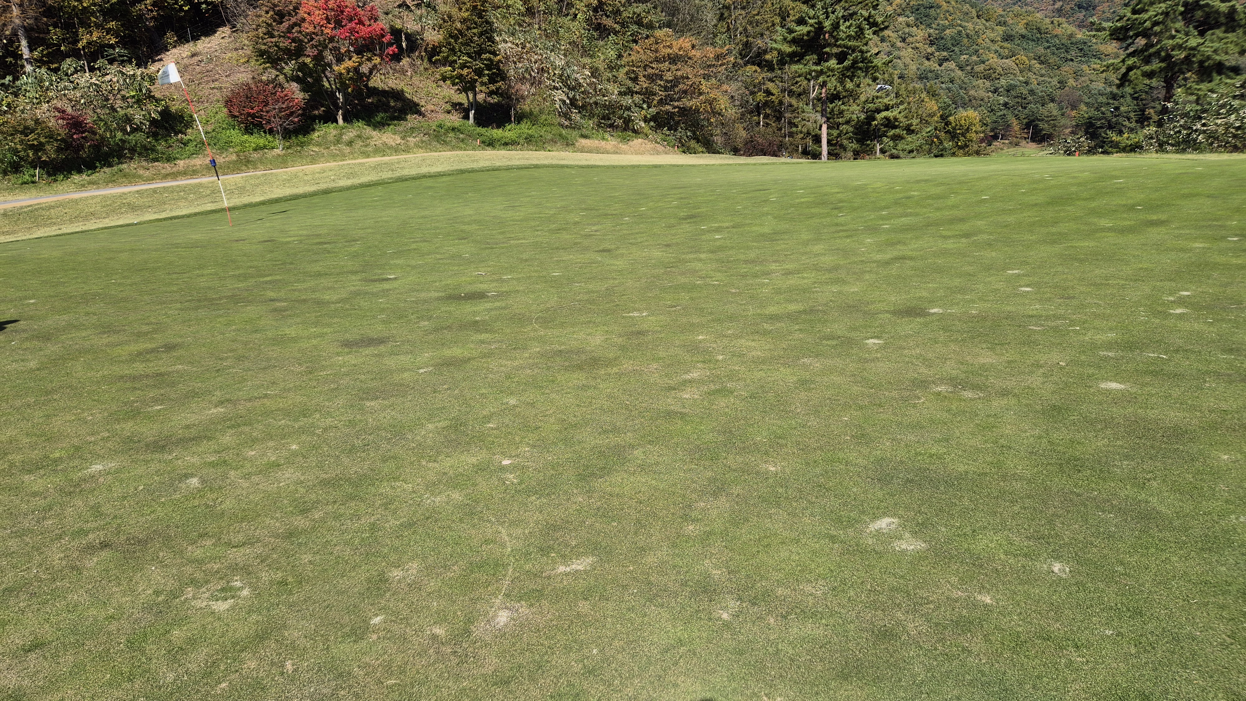 동촌gc 그린관리상태