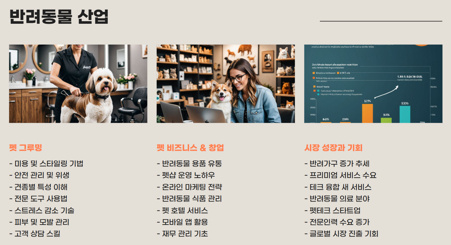 내일배움카드로 배울수 있는것