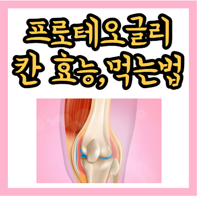 프로테오글리칸 효능과 먹는 법&#44; 고르는 법