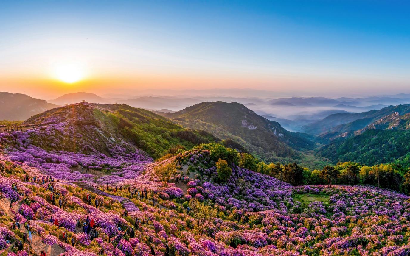 황매산