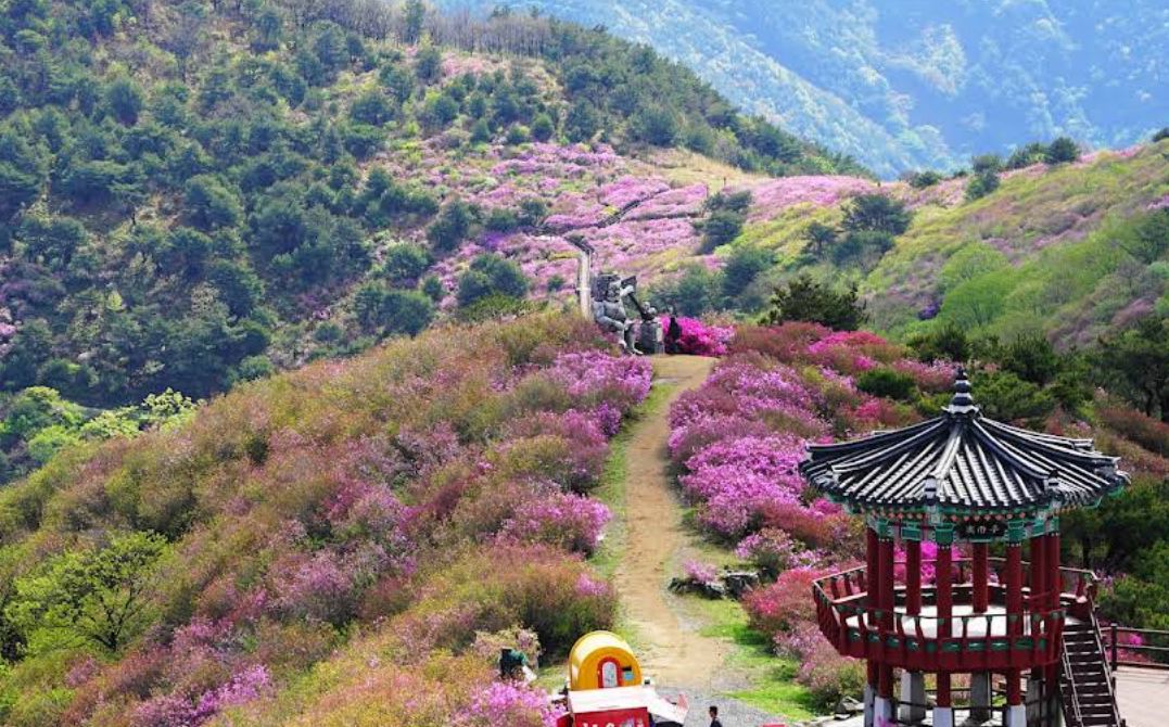 한우산 설화원 