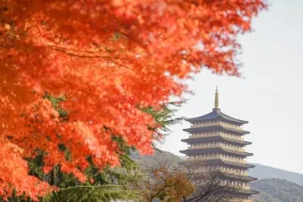 가을 경주 여행 가볼만한곳 베스트 10으로 정리_21