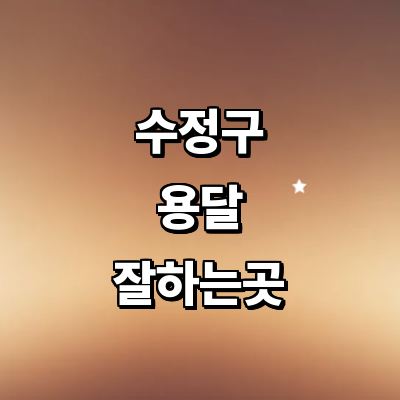 성남 수정구 용달